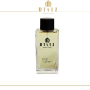 ادکلن تق د هرمس مردانه | Hermes Terre d'Hermes for Men (۱۰۰ میل)